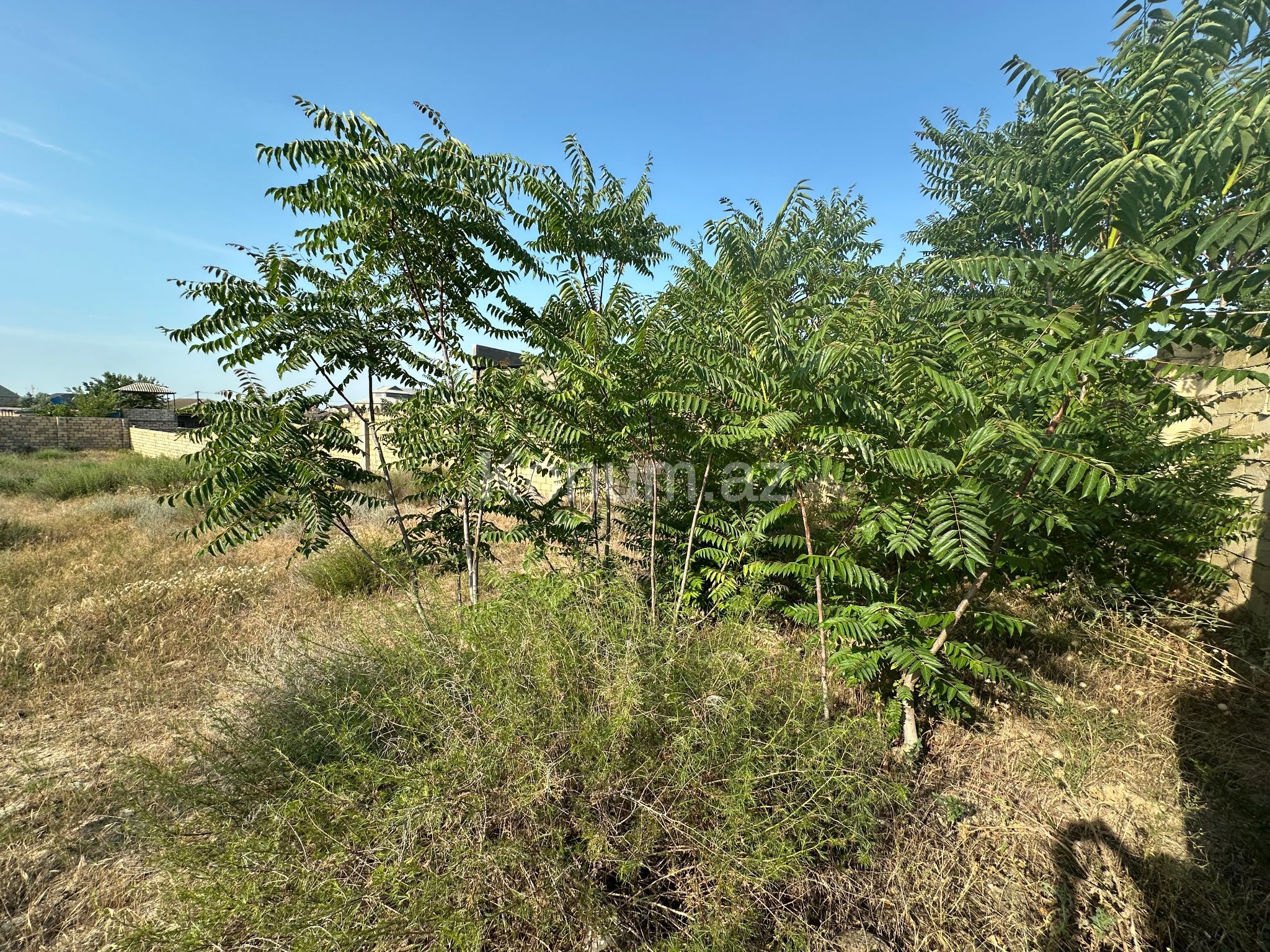 12 sot - Bakı, Sabunçu - satılır — foto 4