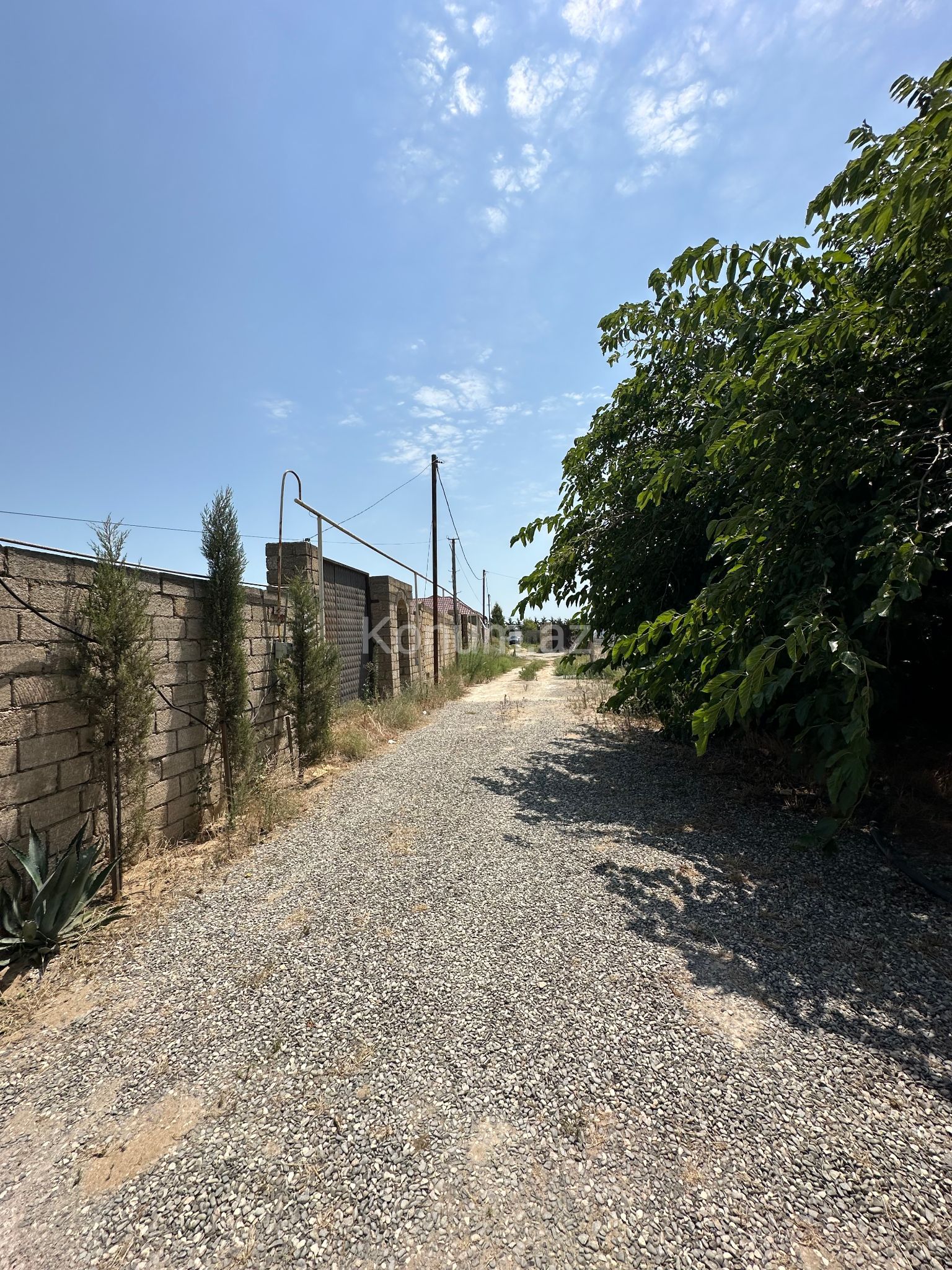 Şəkil