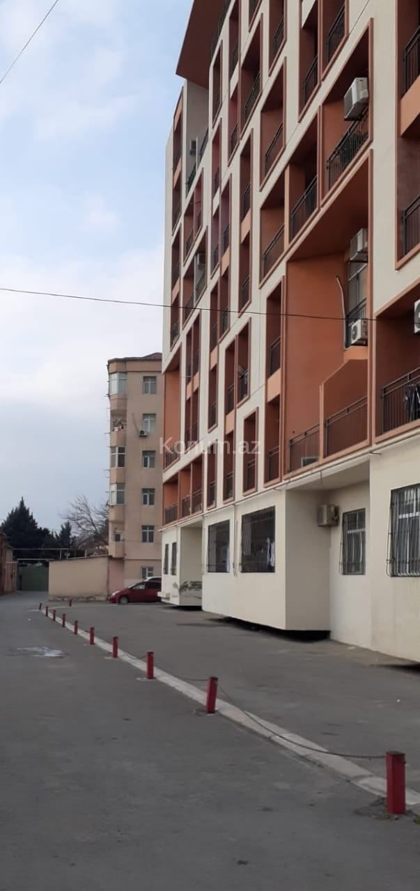 Şəkil