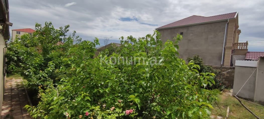 5 sot - Bakı, Abşeron - satılır — foto 3