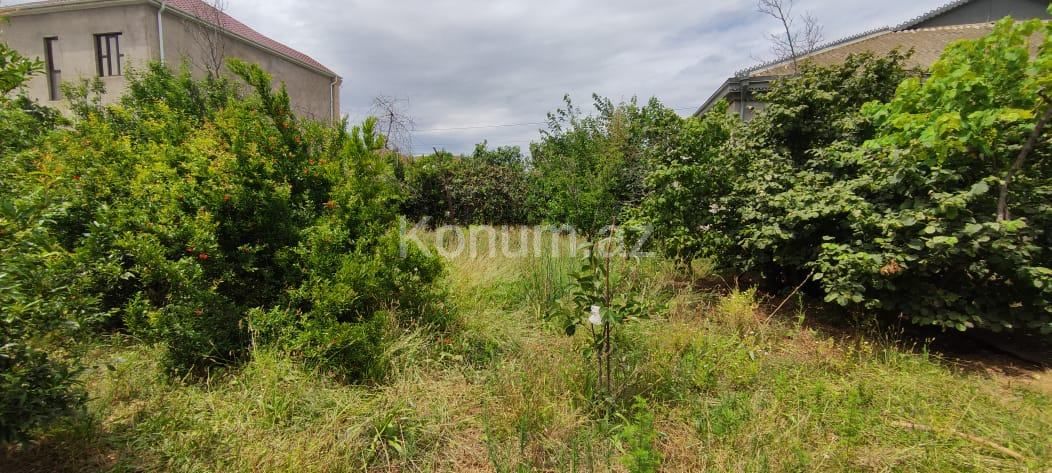 5 sot - Bakı, Abşeron - satılır — foto 4