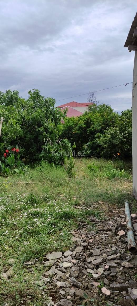 5 sot - Bakı, Abşeron - satılır — foto 5