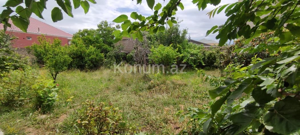 5 sot - Bakı, Abşeron - satılır — foto 7