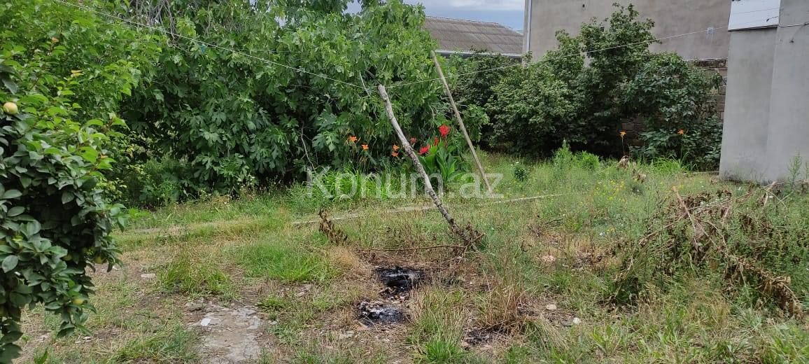 5 sot - Bakı, Abşeron - satılır — foto 8