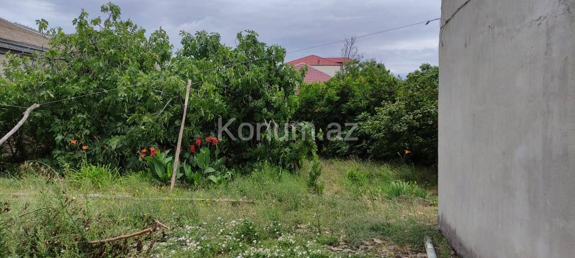 5 sot - Bakı, Abşeron - satılır — foto 9