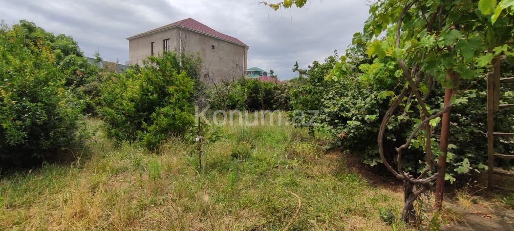 5 sot - Bakı, Abşeron - satılır — foto 11