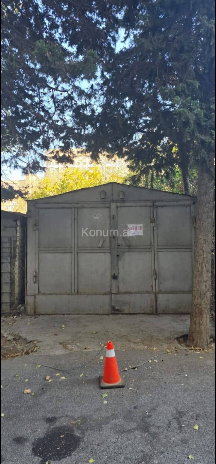 Şəkil