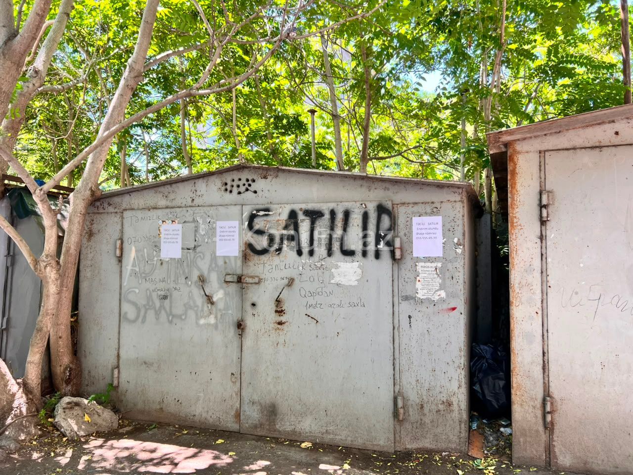 Şəkil