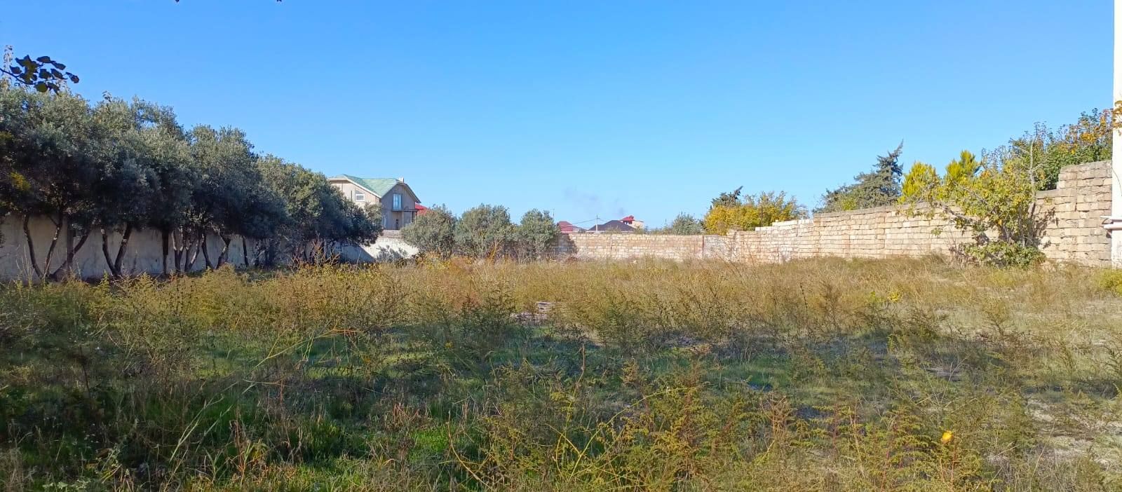 Şəkil