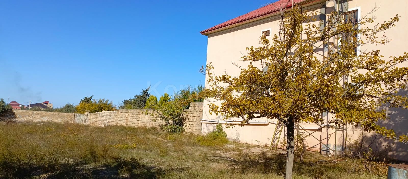 Şəkil