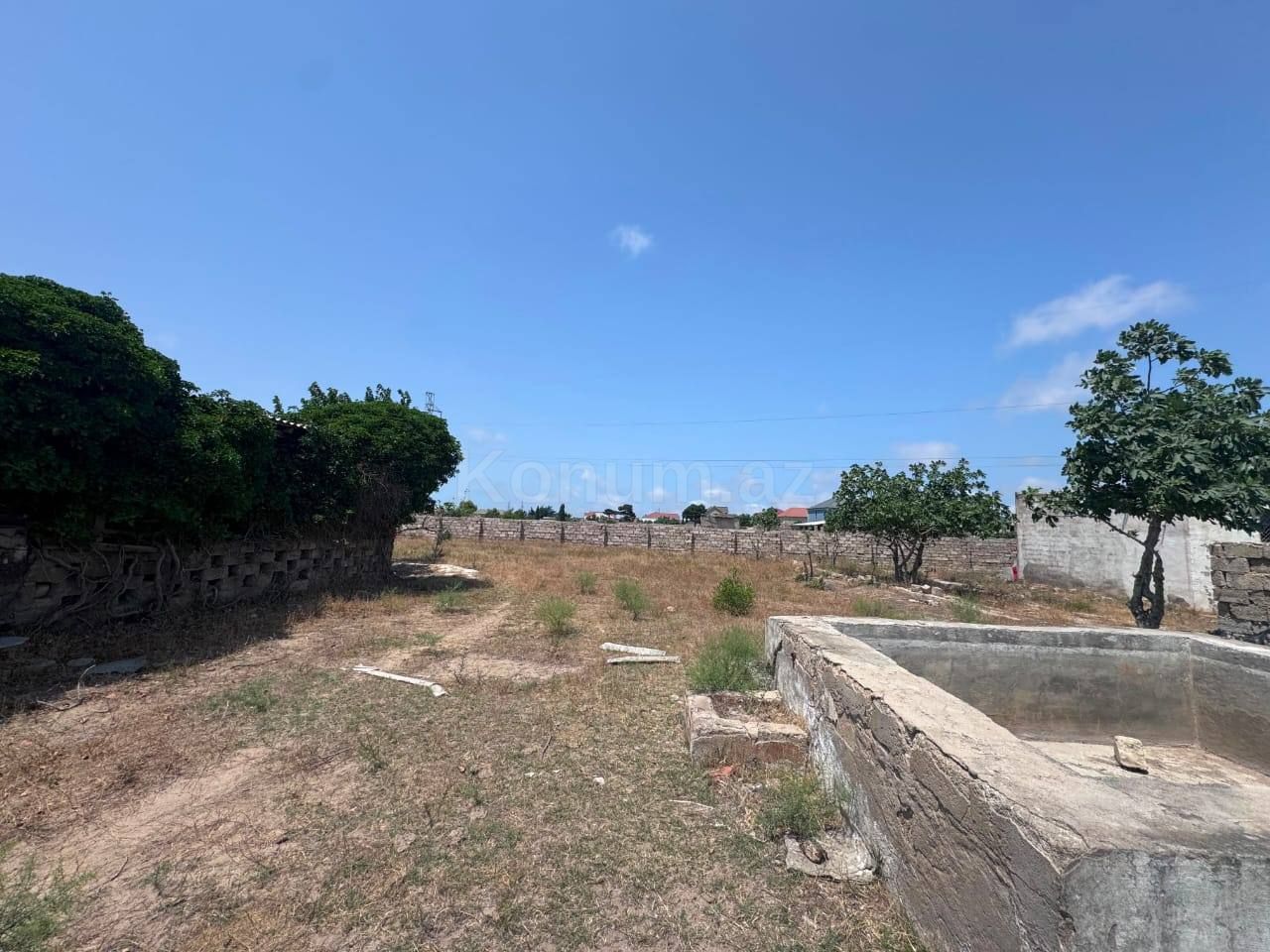 Şəkil
