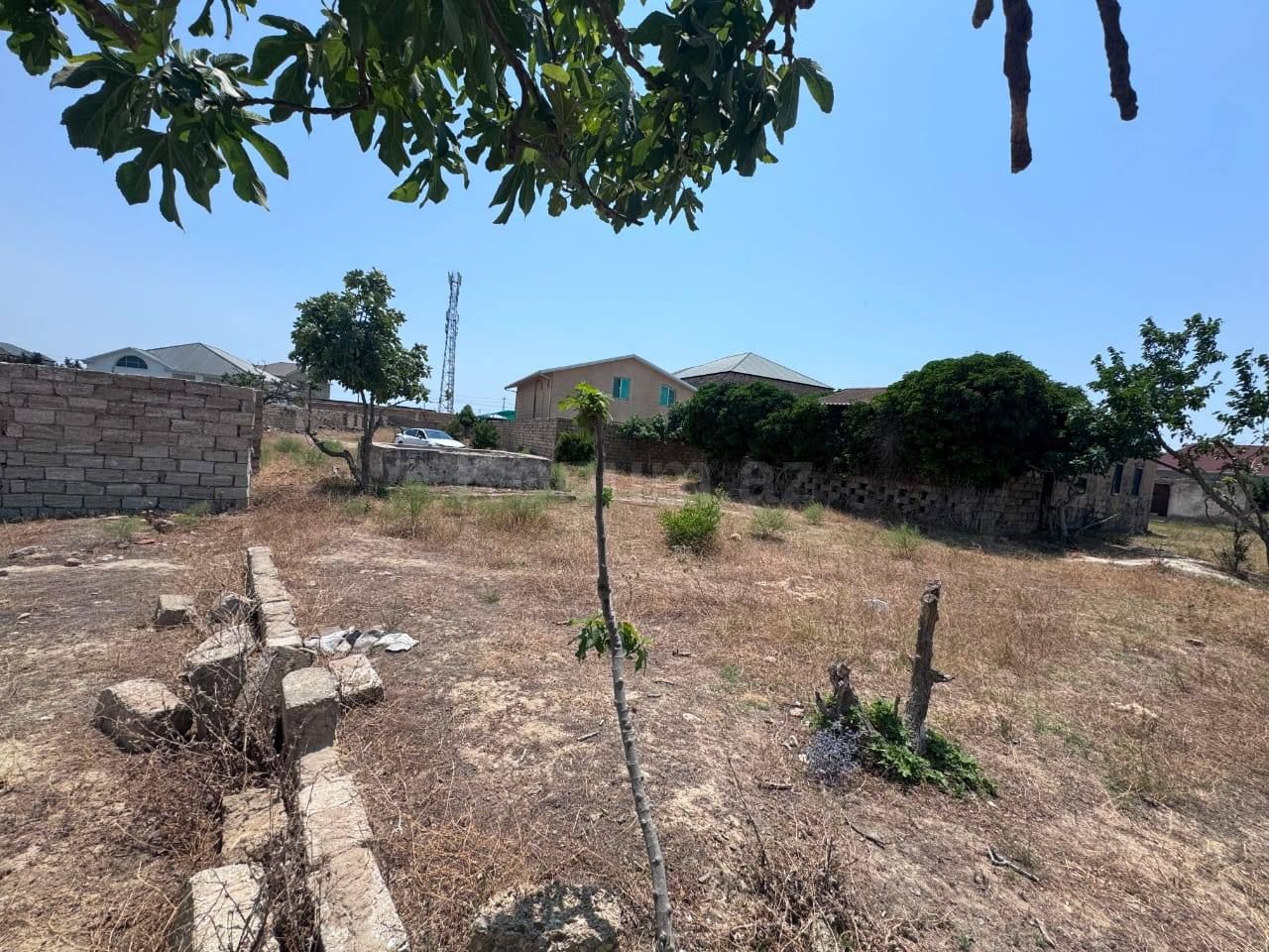 Şəkil