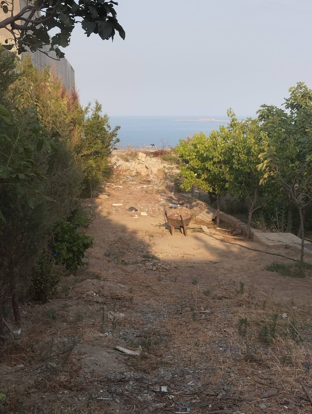 Şəkil