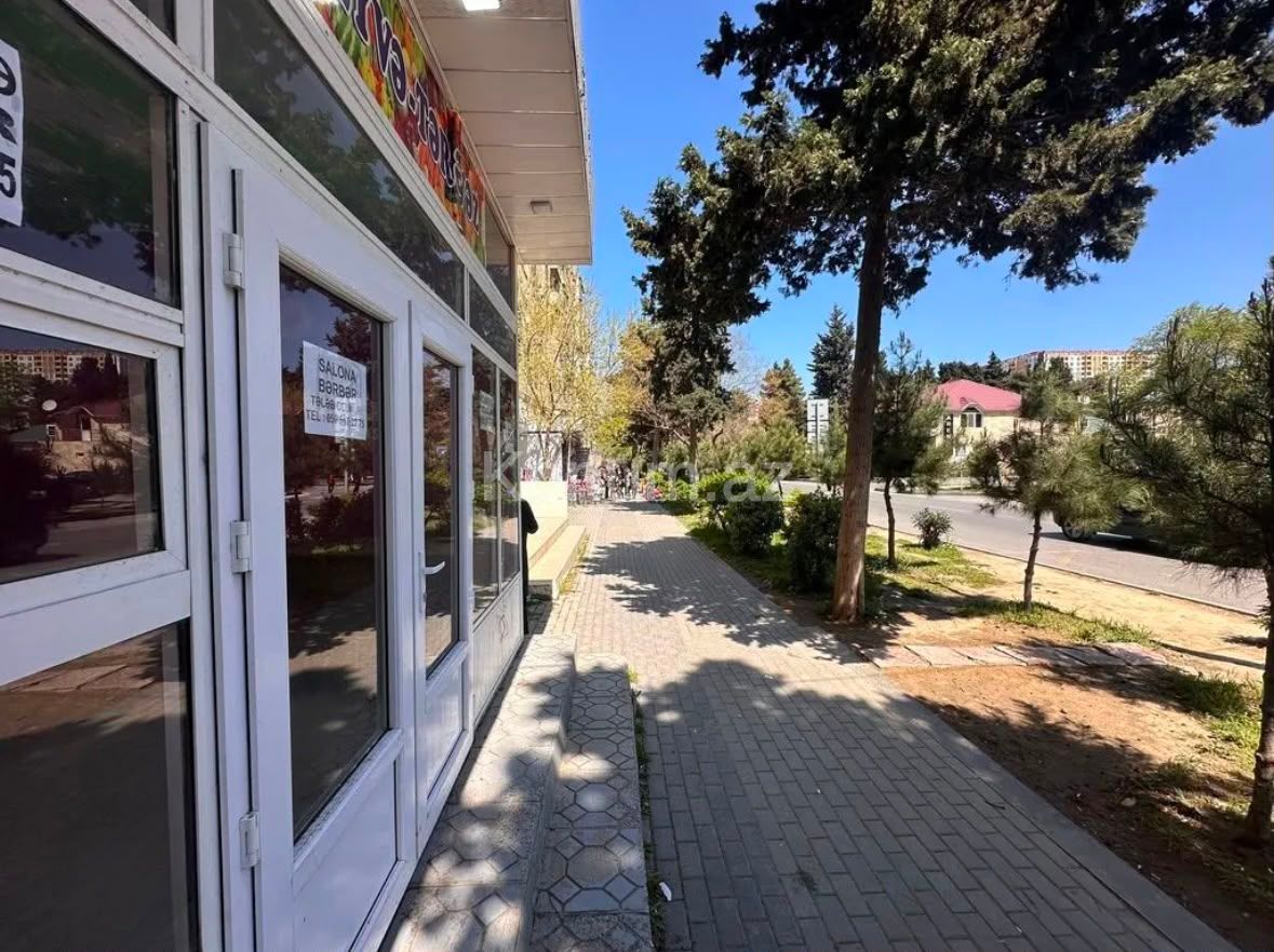 Şəkil