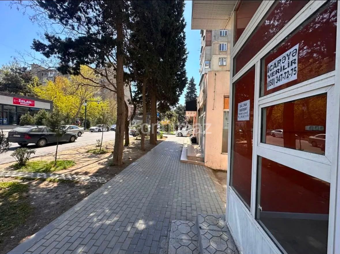 Şəkil