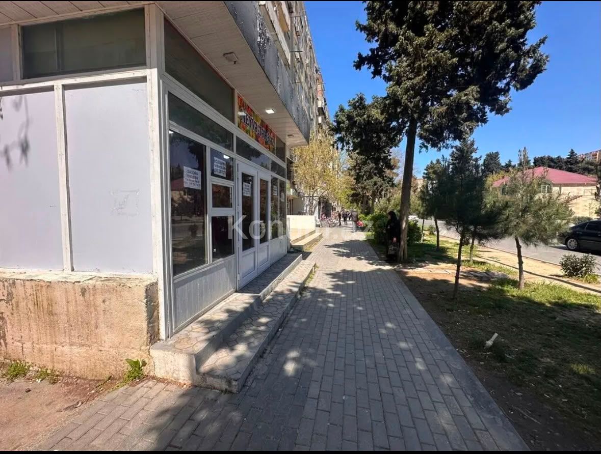 Şəkil