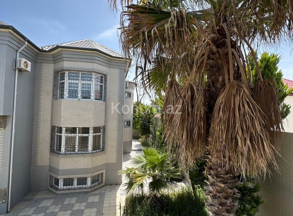 Şəkil