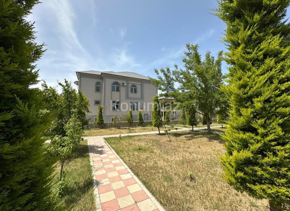 Şəkil