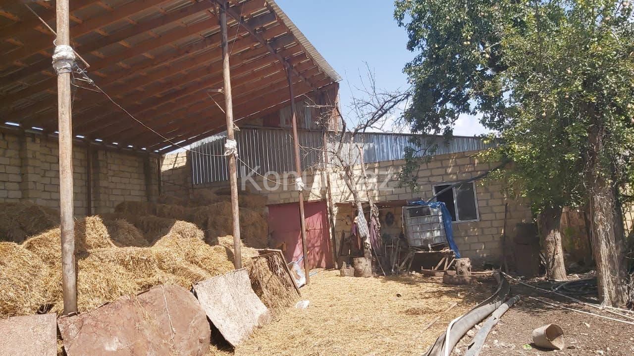Şəkil