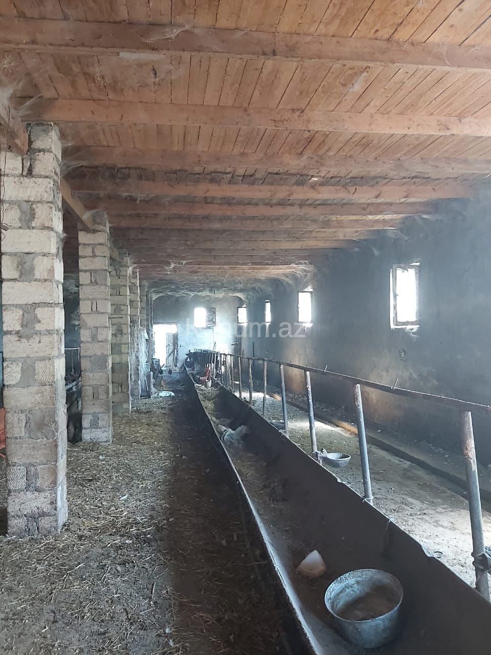 Şəkil
