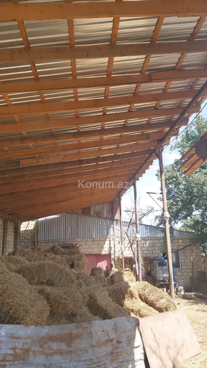 Şəkil