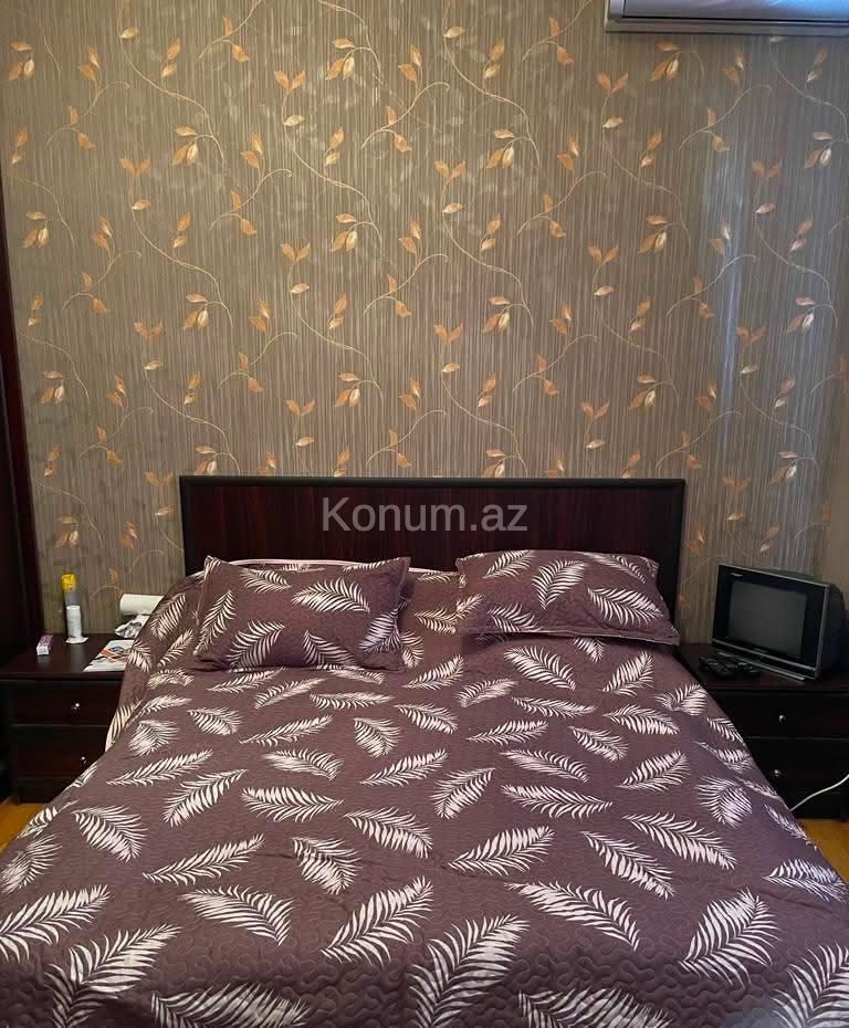 2 Комнаты, 225 м² - Баку, Сабунчу - продаётся — фото 13
