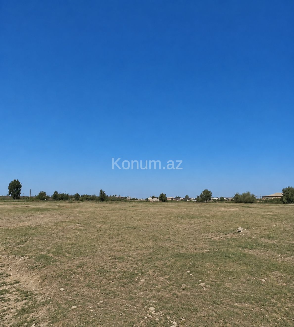 Şəkil