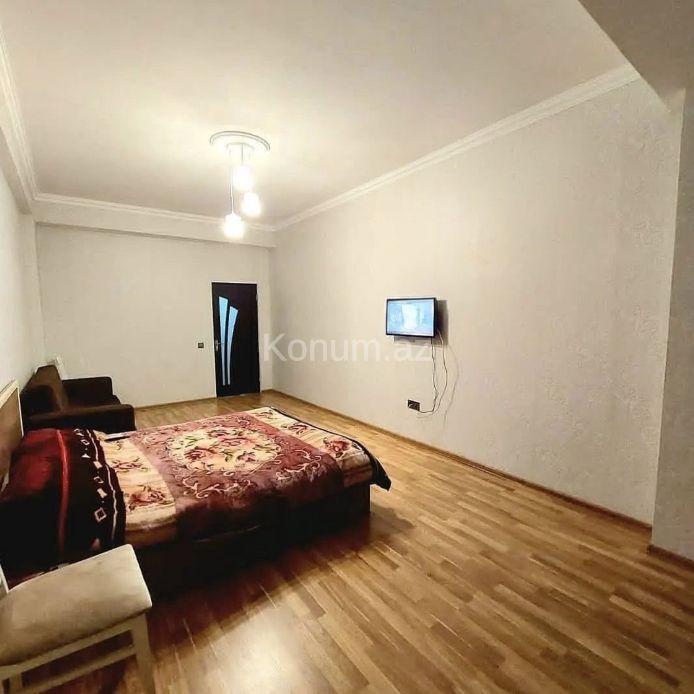 1 otaq, 65 m², 7/17 mərtəbə - Bakı, Nəsimi - kirayə — foto 5