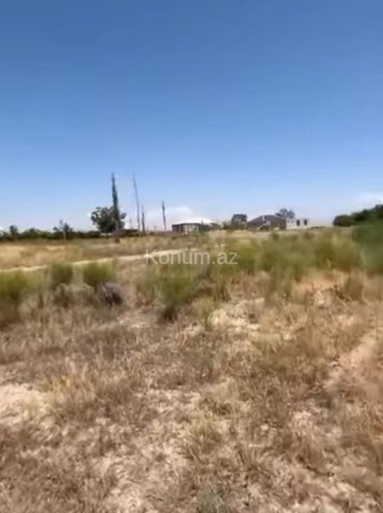 Şəkil