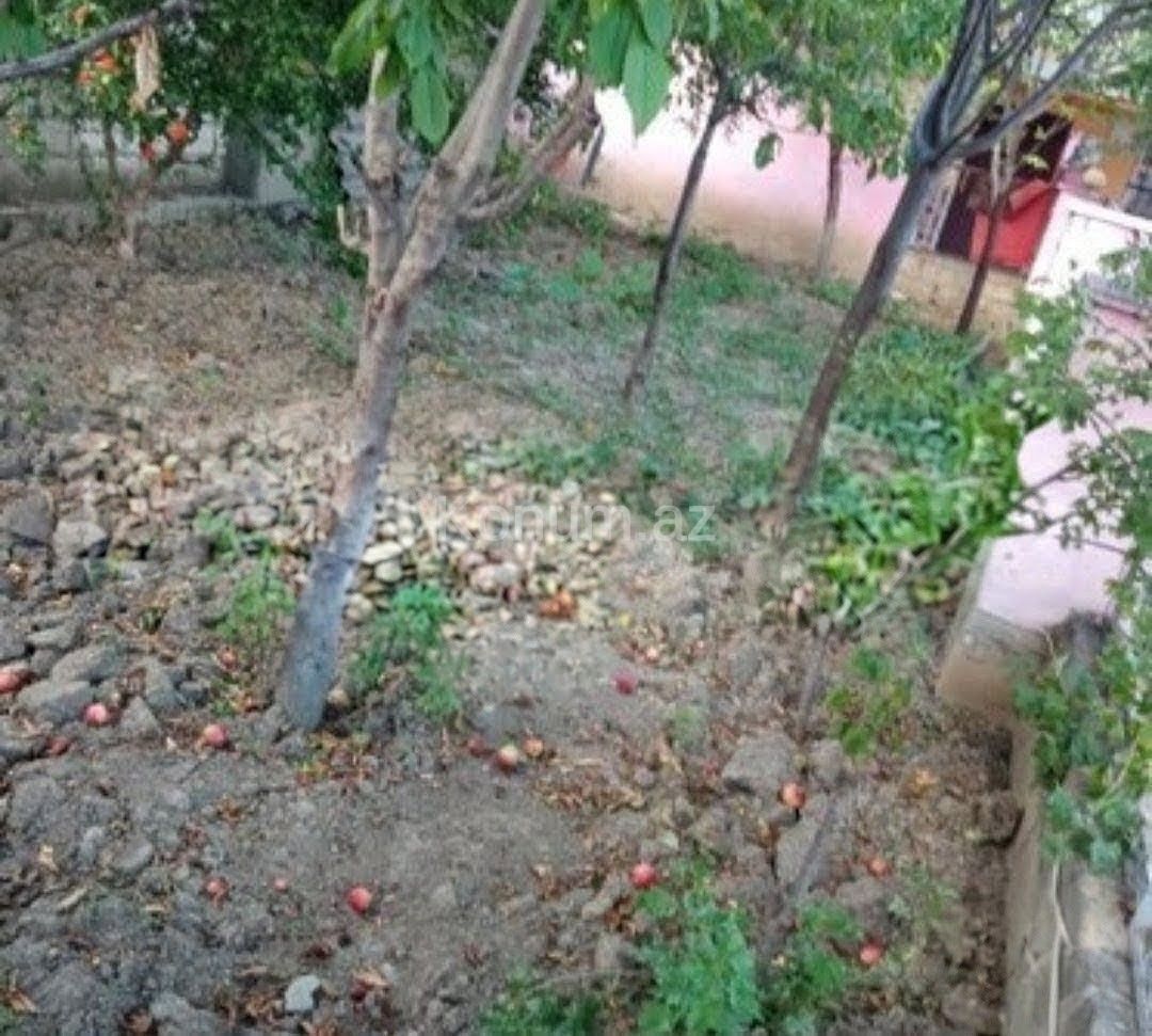 Şəkil