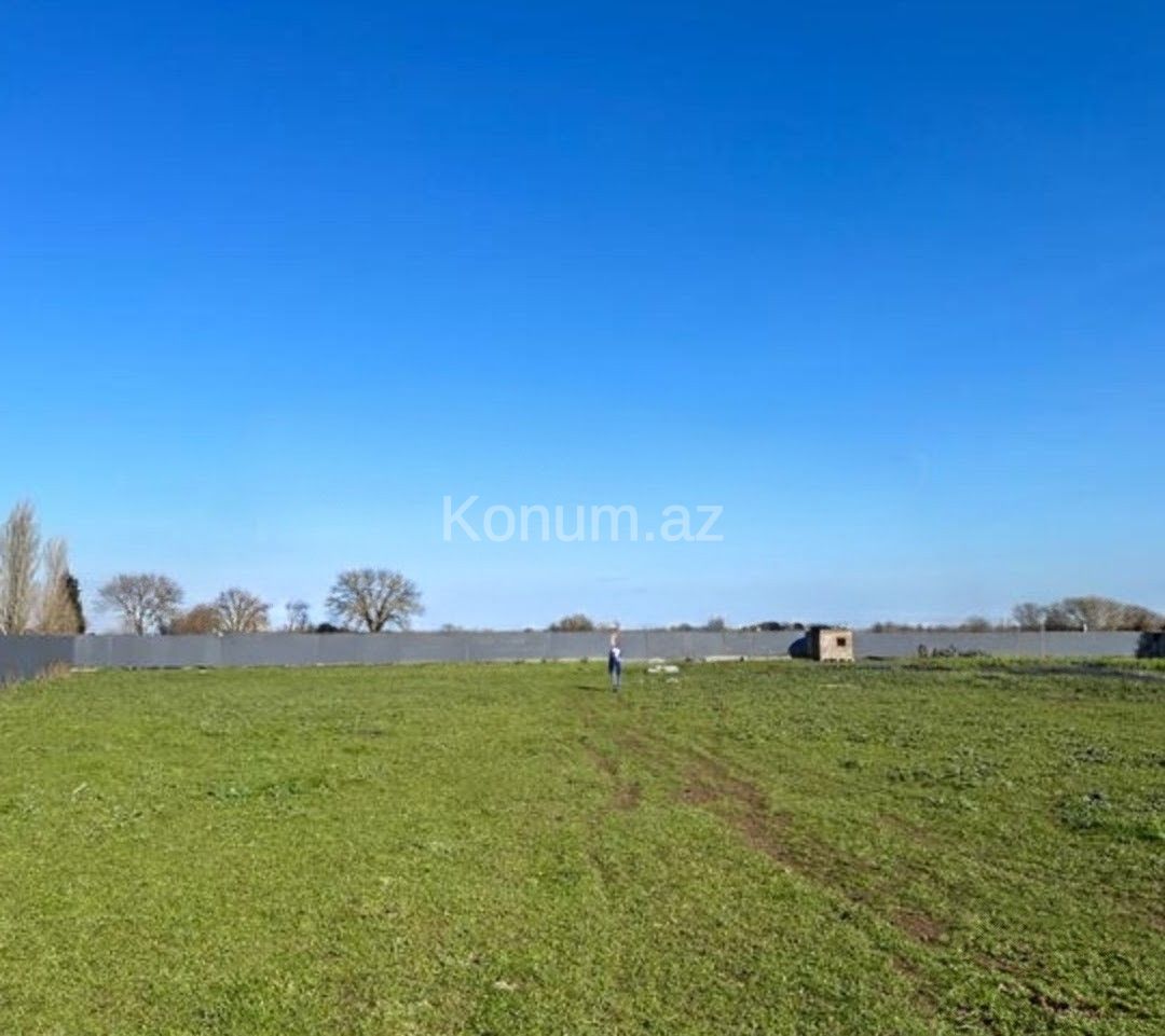 Şəkil