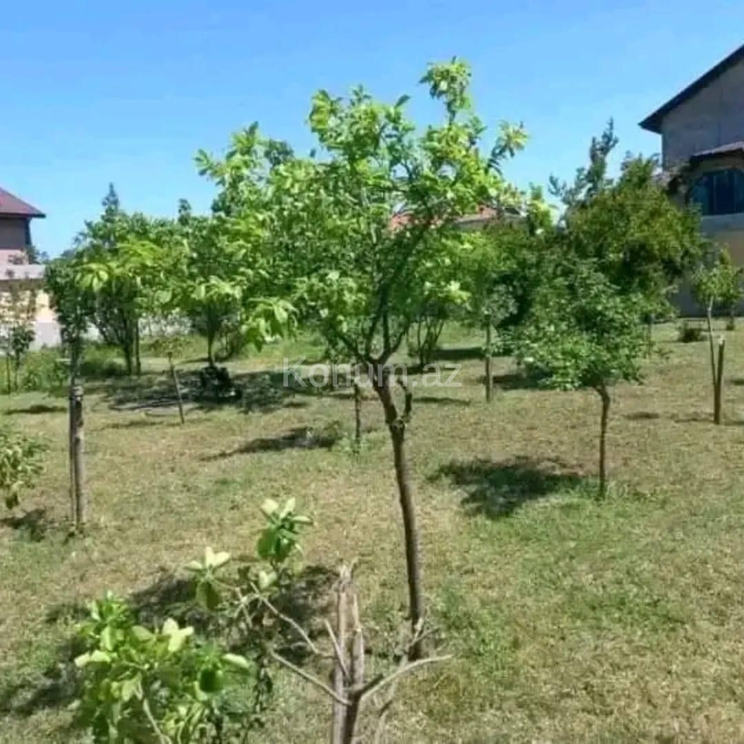 6 Комнаты, 255 м² - Баку, Апшерон - продаётся — фото 9