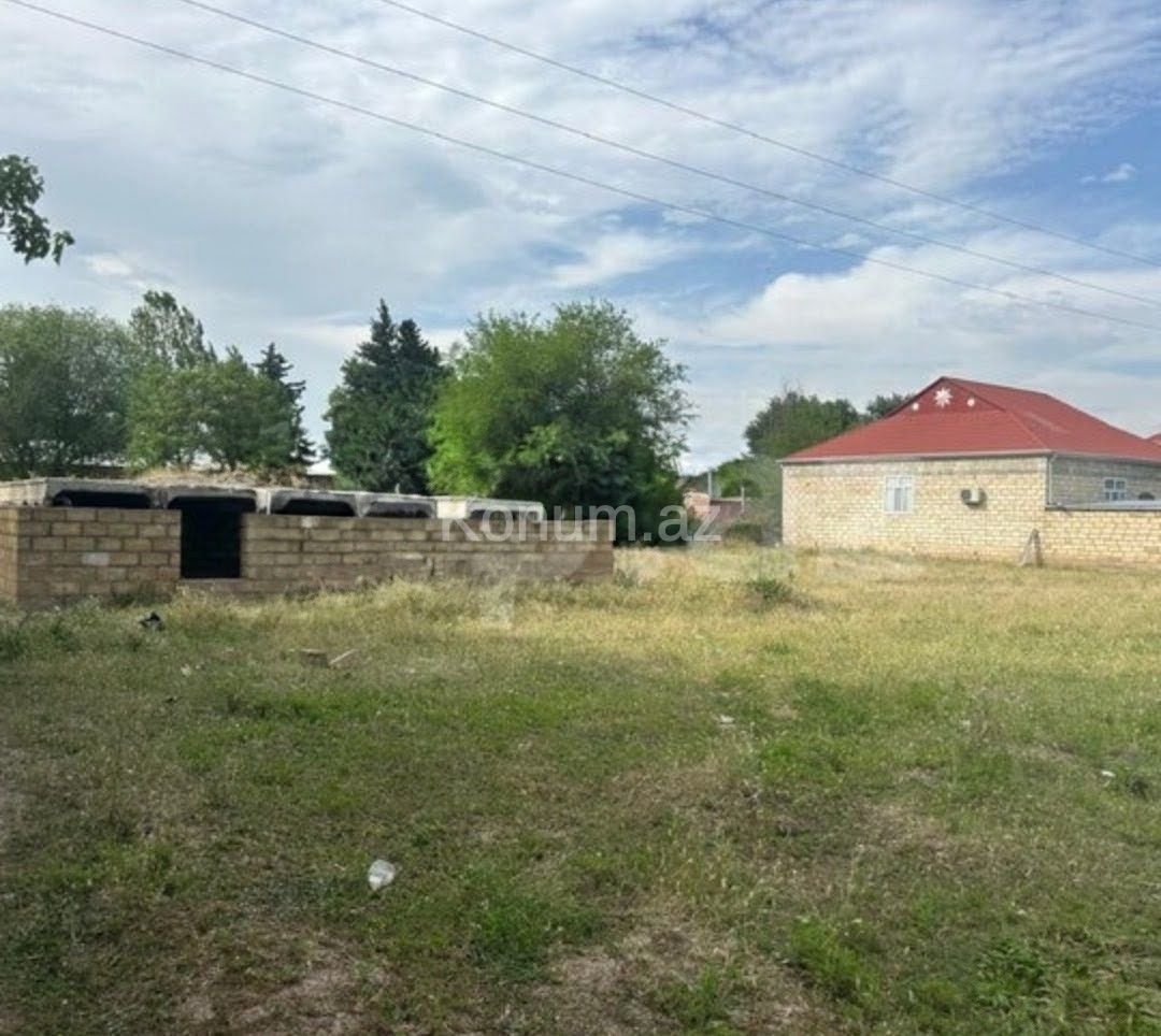 Şəkil