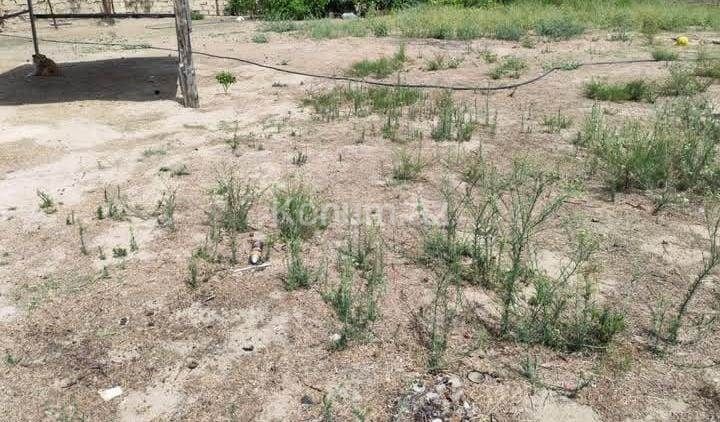 11 sot - Bakı, Sabunçu - satılır — foto 2