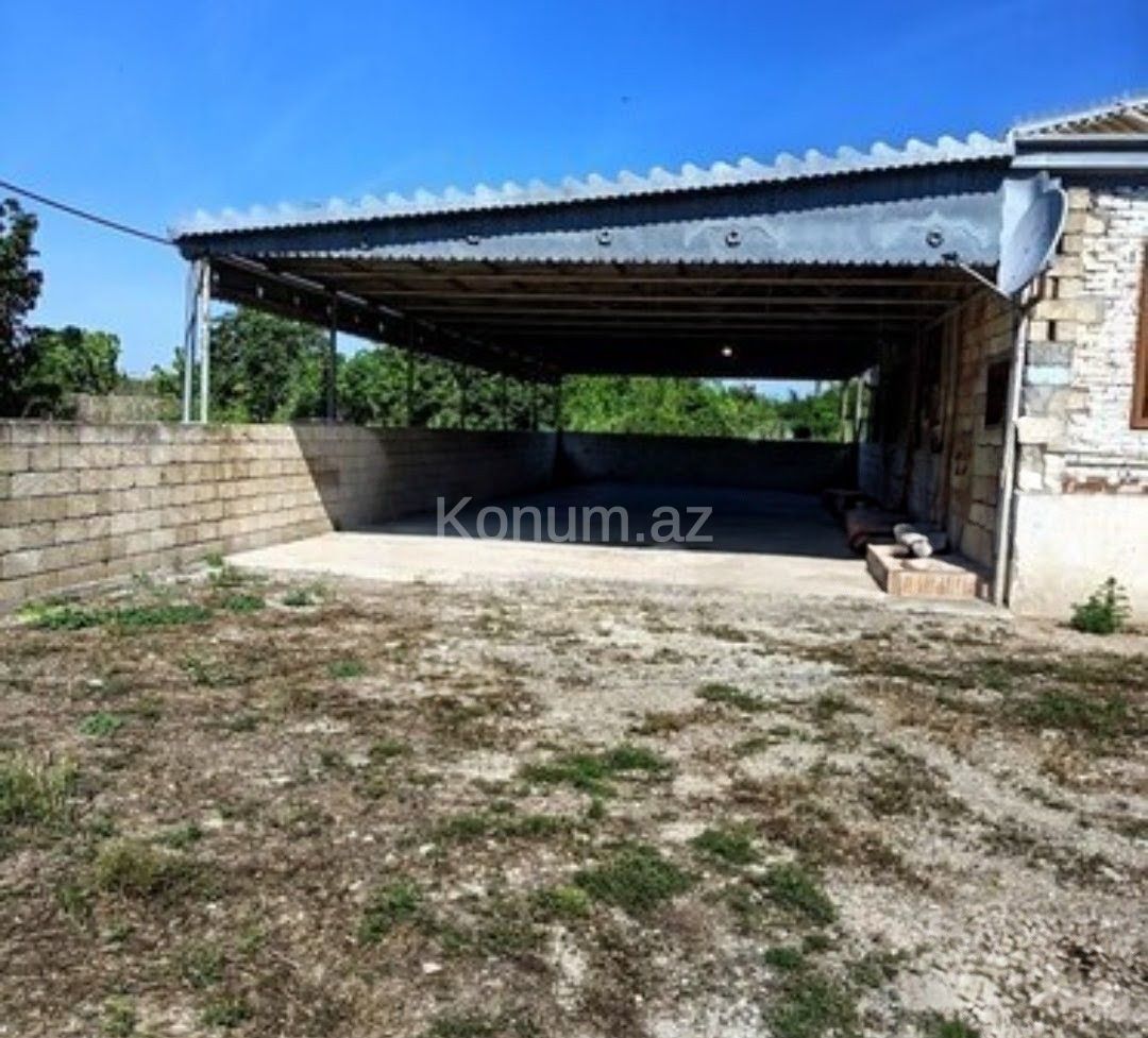 Şəkil