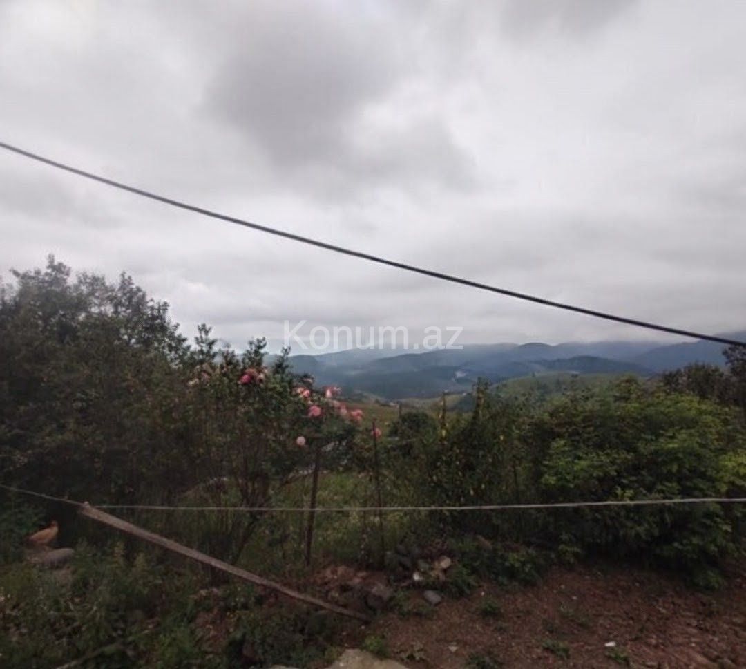 Şəkil