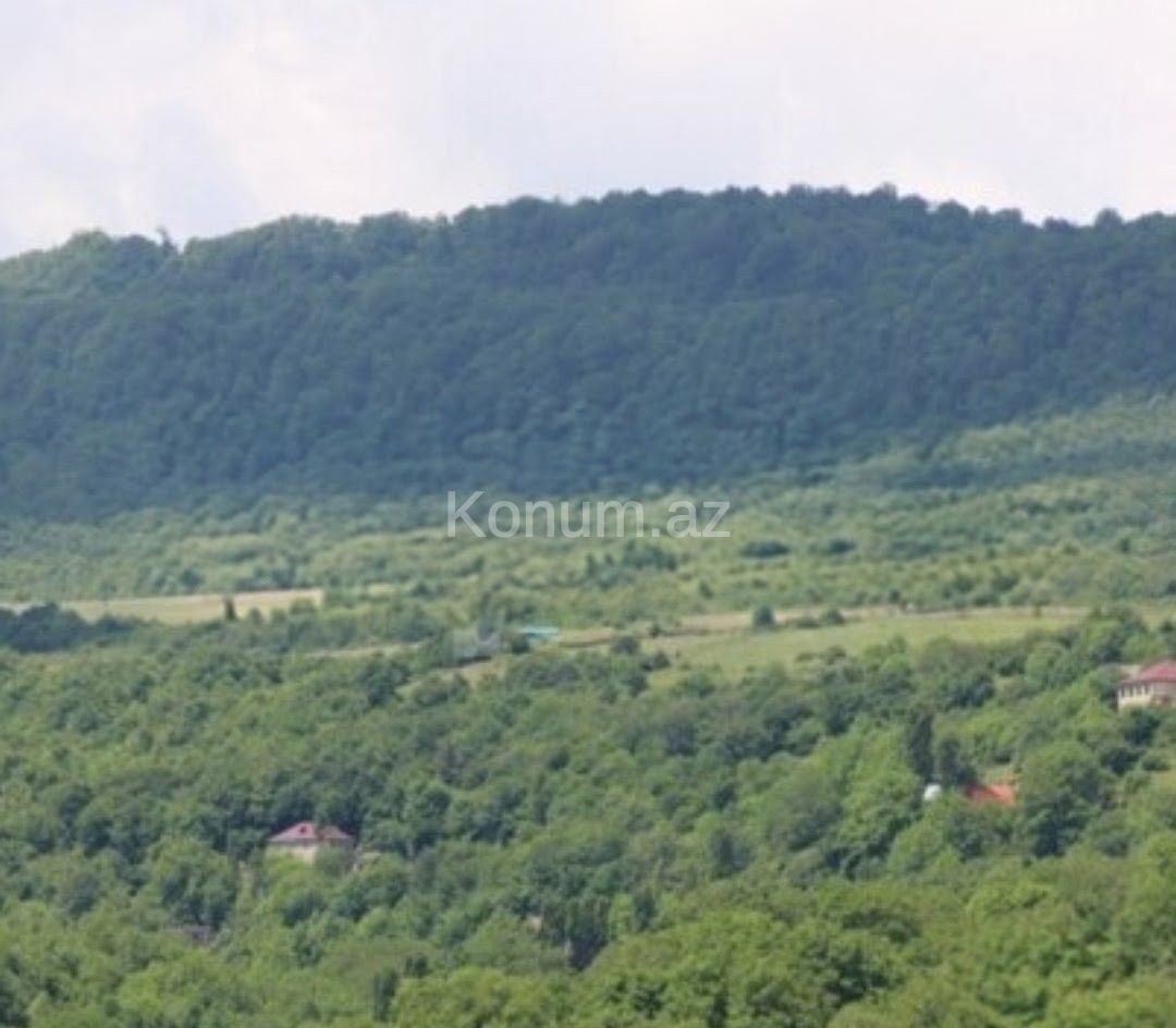 Şəkil