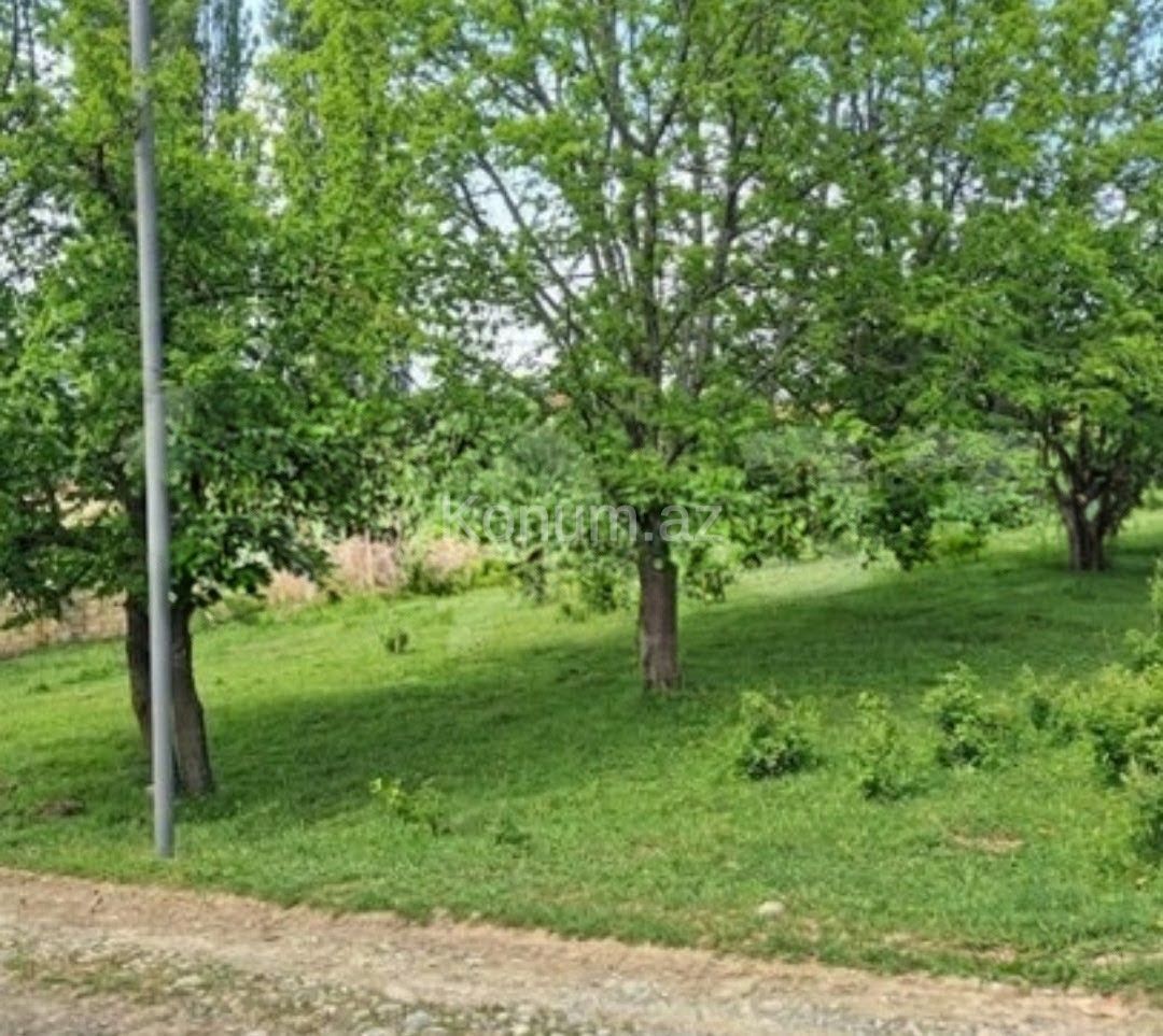 Şəkil