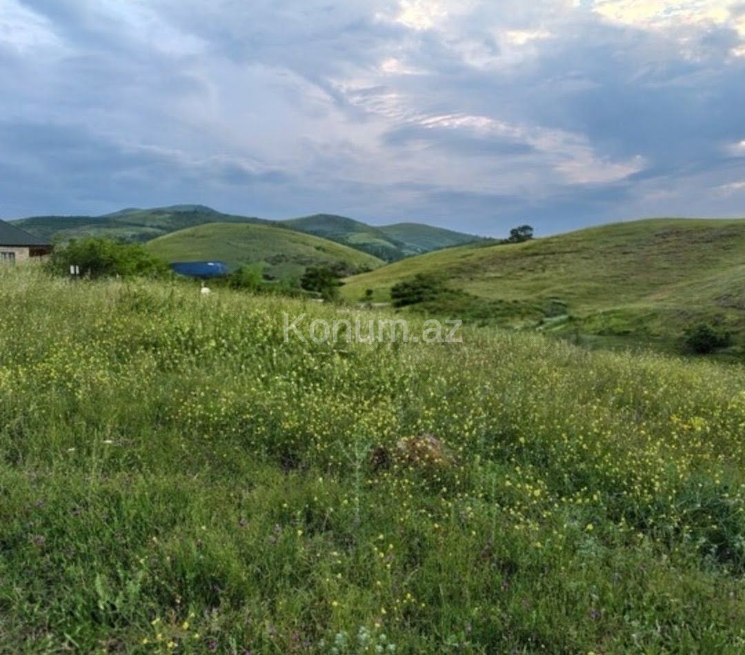 Şəkil