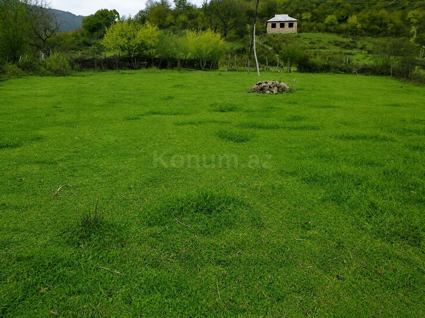 Şəkil