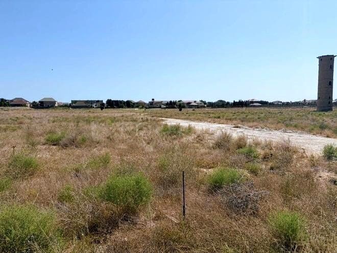 Şəkil