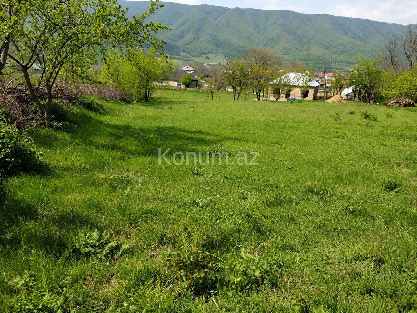 Şəkil
