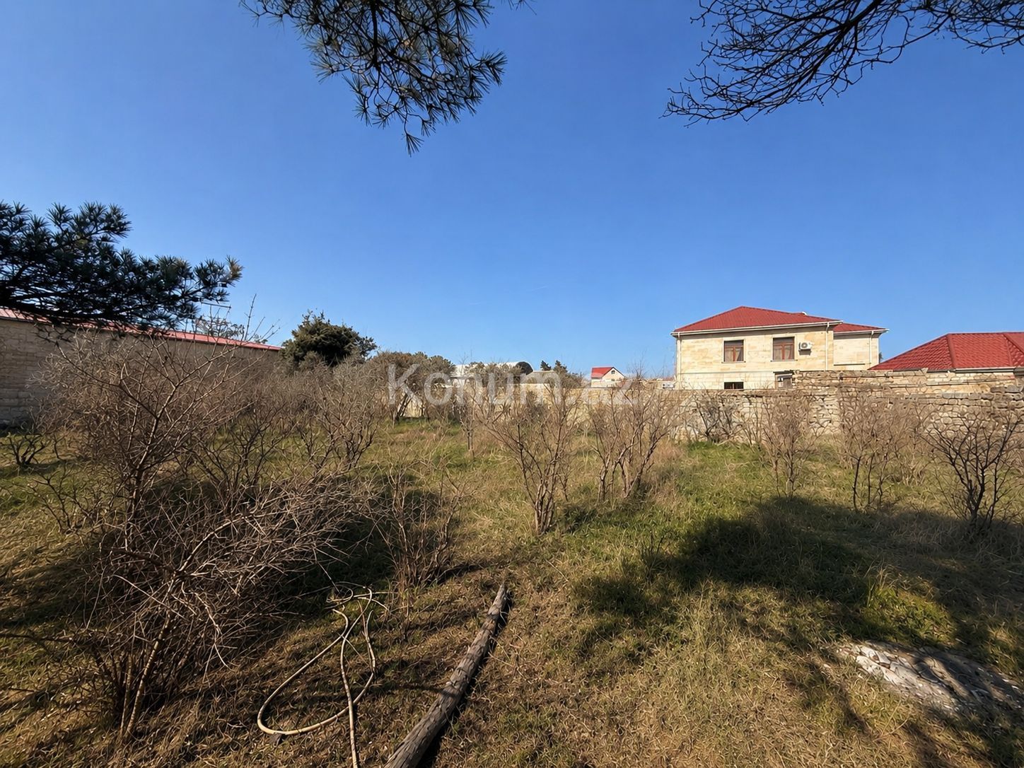 Şəkil
