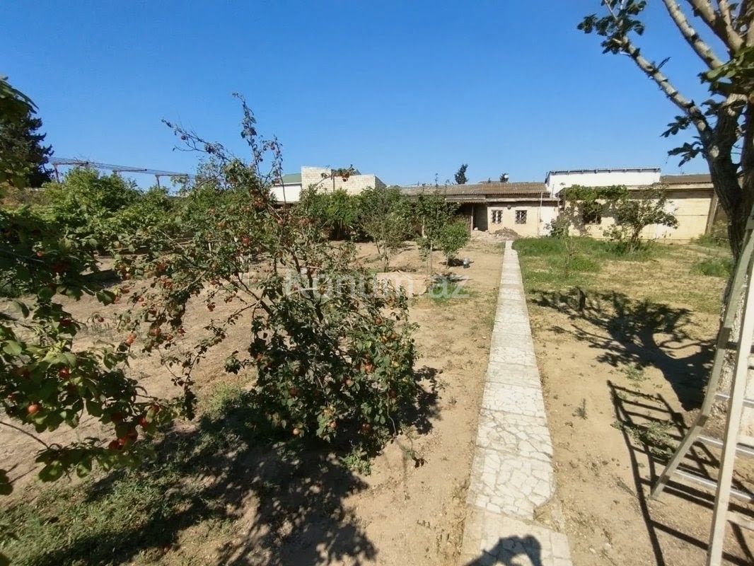 Şəkil