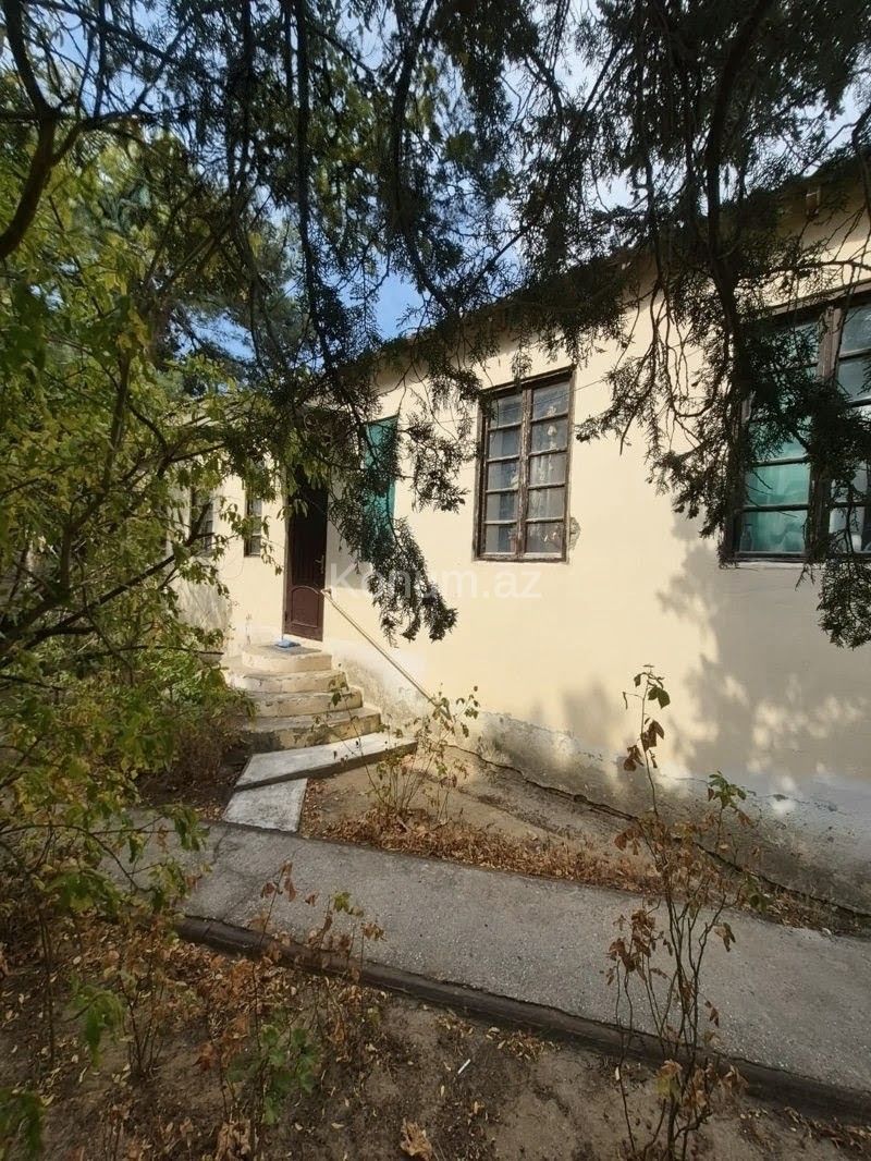 Şəkil