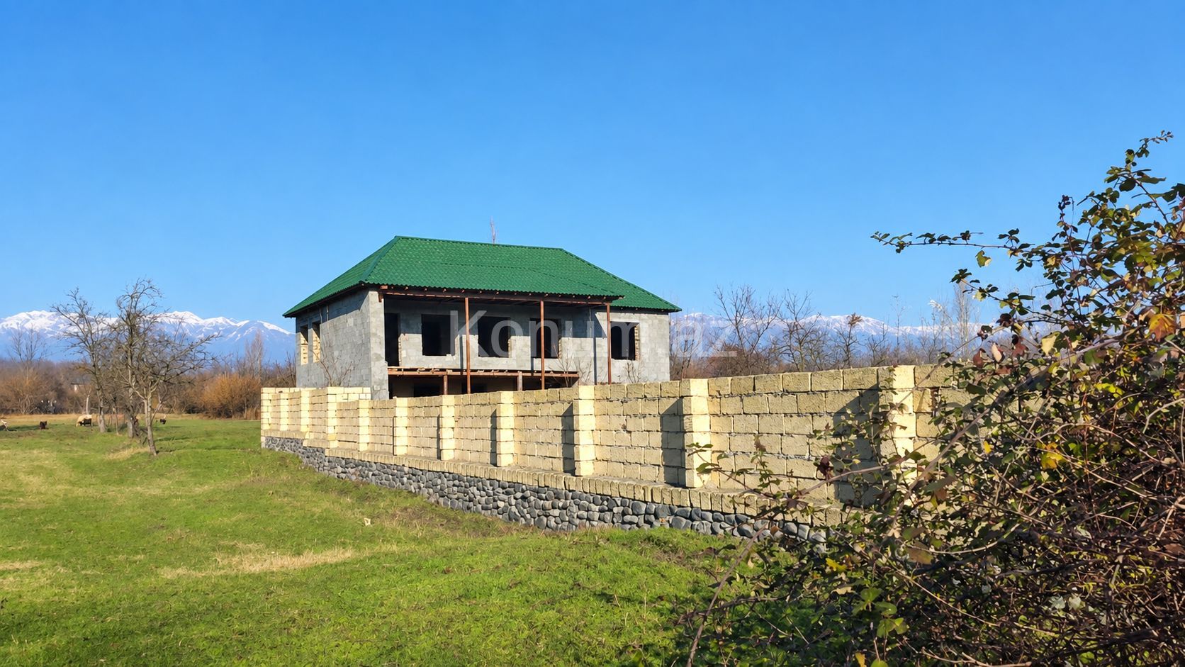 Şəkil
