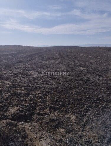 Şəkil