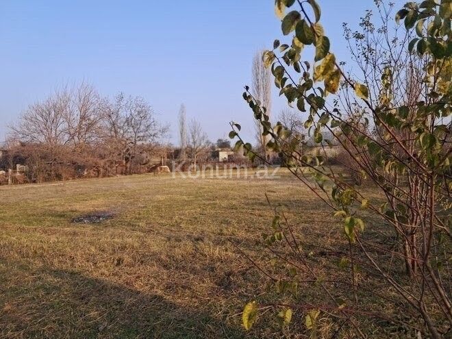 Şəkil