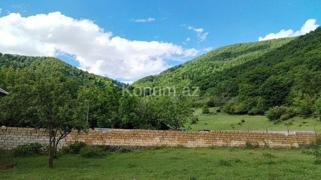 Şəkil