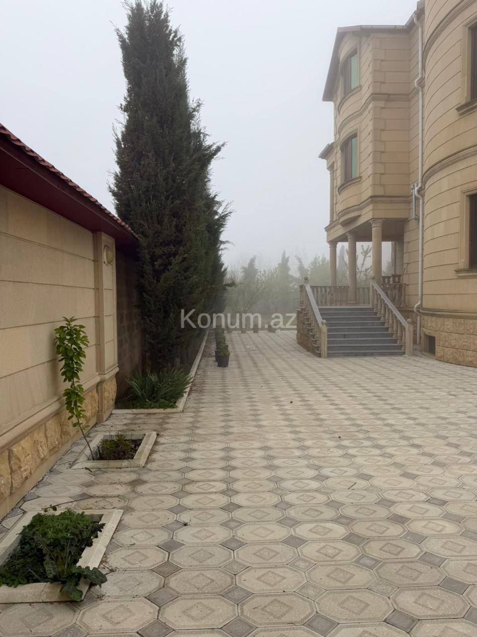 Şəkil
